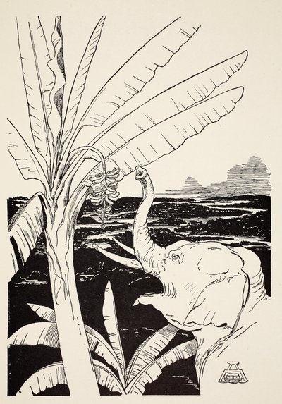 The Elephant